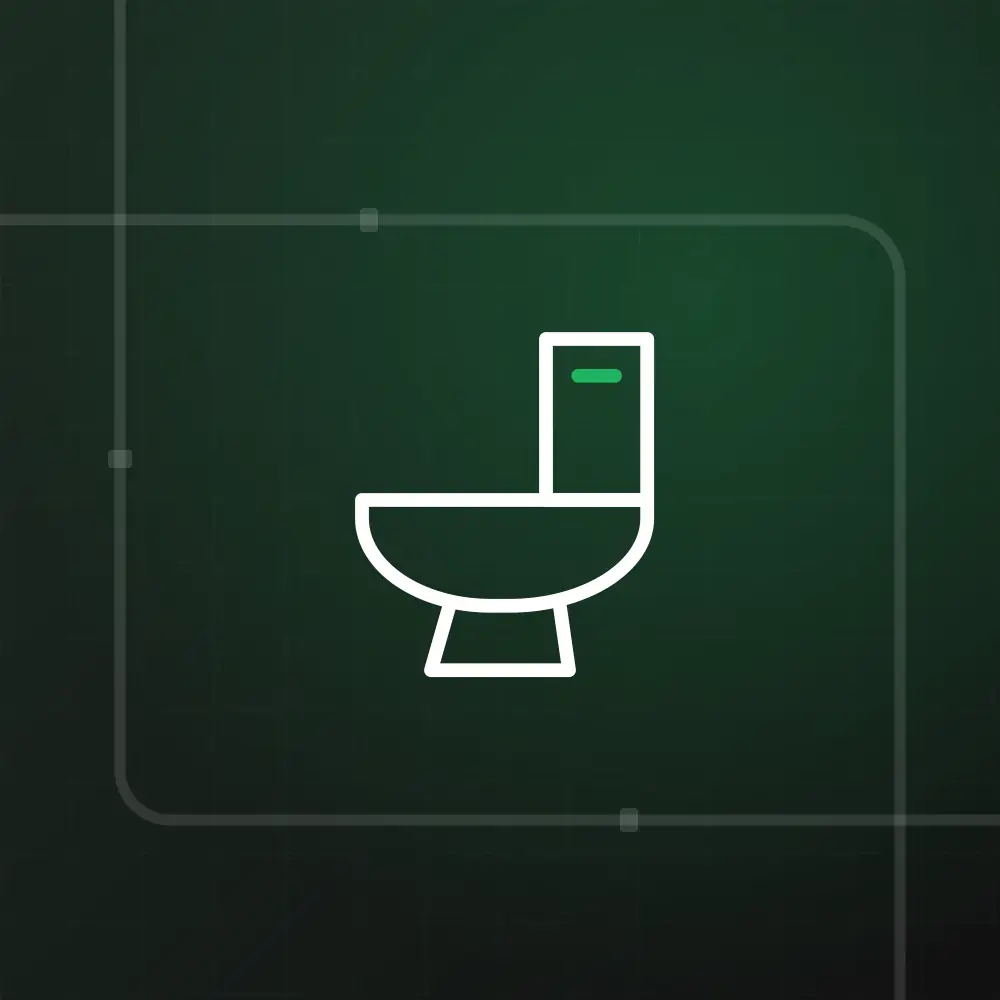 New one-piece toilet installed in a Toronto bathroom